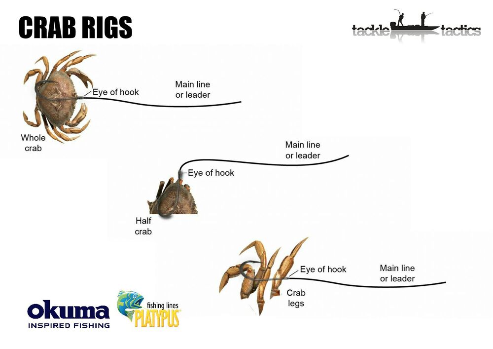 Crab Rigs – Tackle Tactics