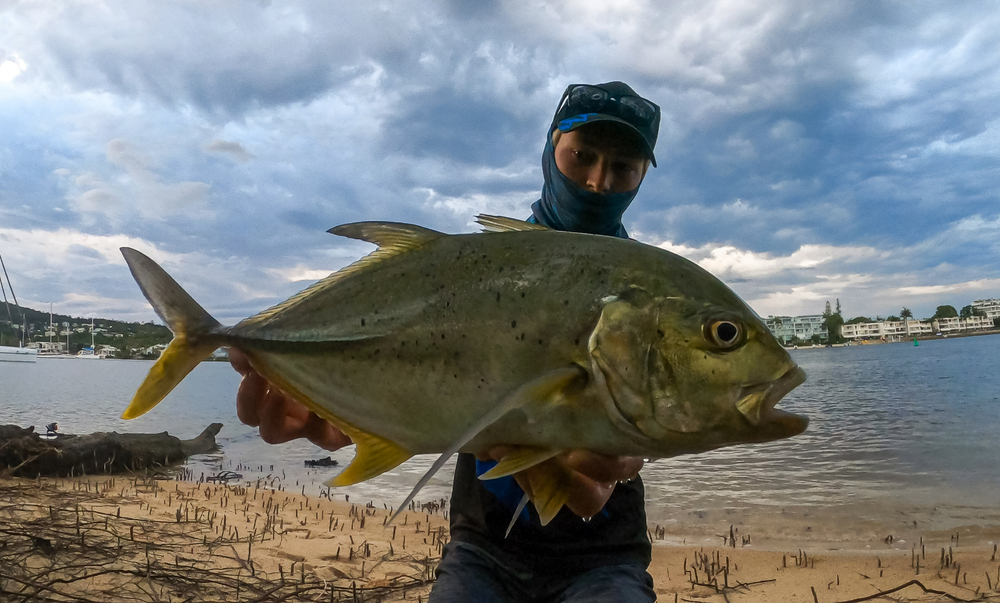 Land Based Lure Fishing Tips – Tackle Tactics