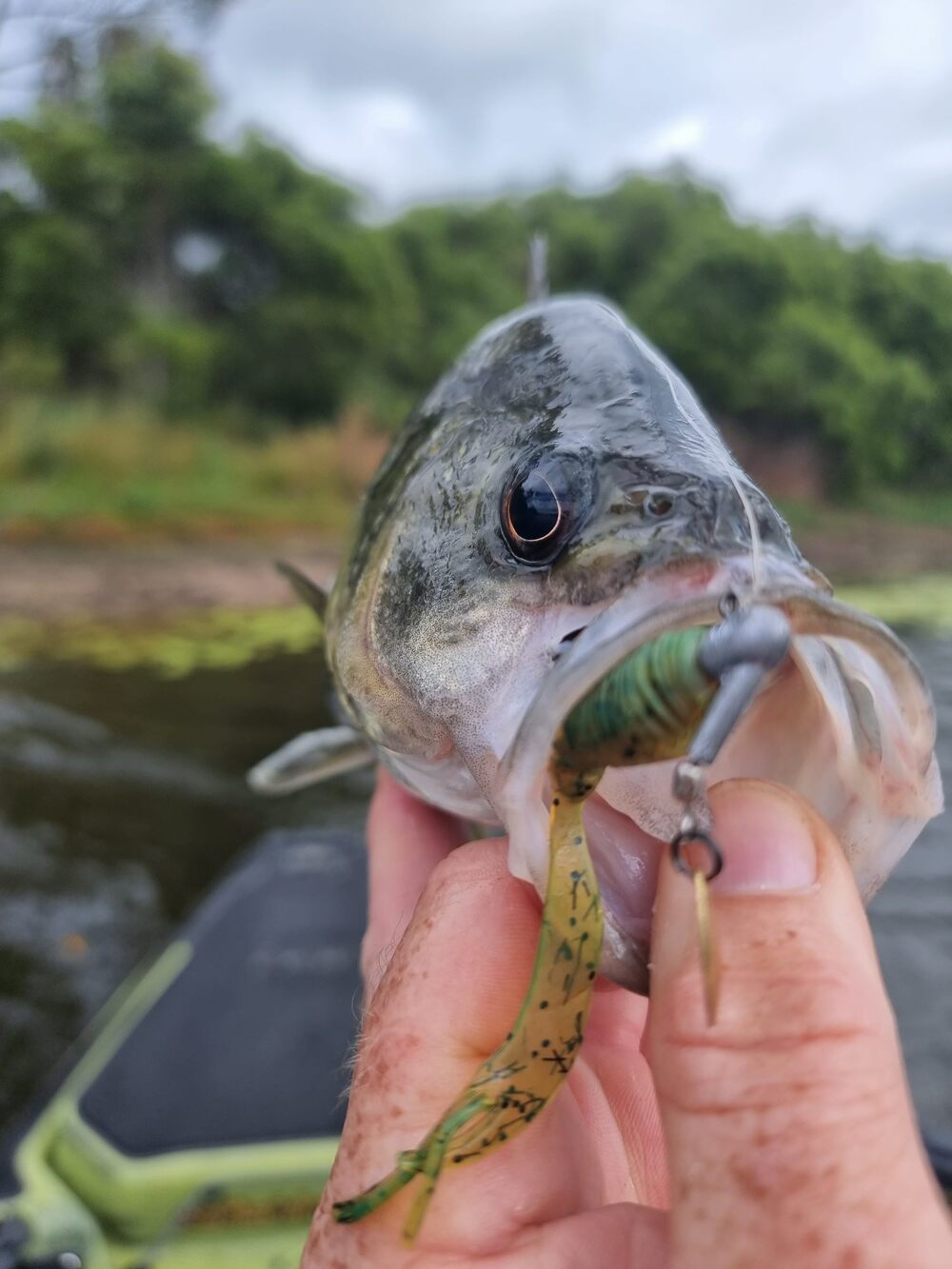 Autumn Edge Bite Bass Fishing – Tackle Tactics