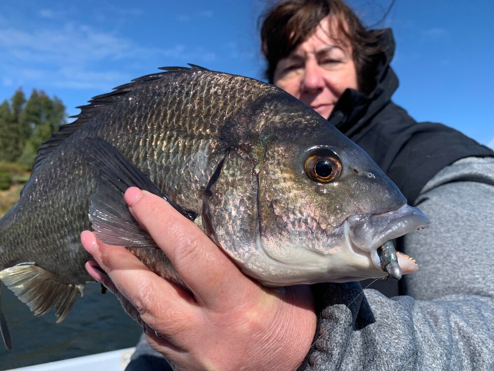 Have Fun and Catch Big Bream Day 2: What Other Baits and Tactics