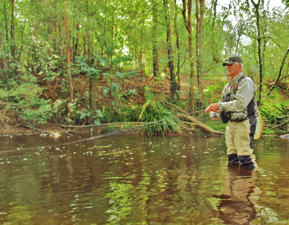 Trout Before the Rain Sets In – Tackle Tactics