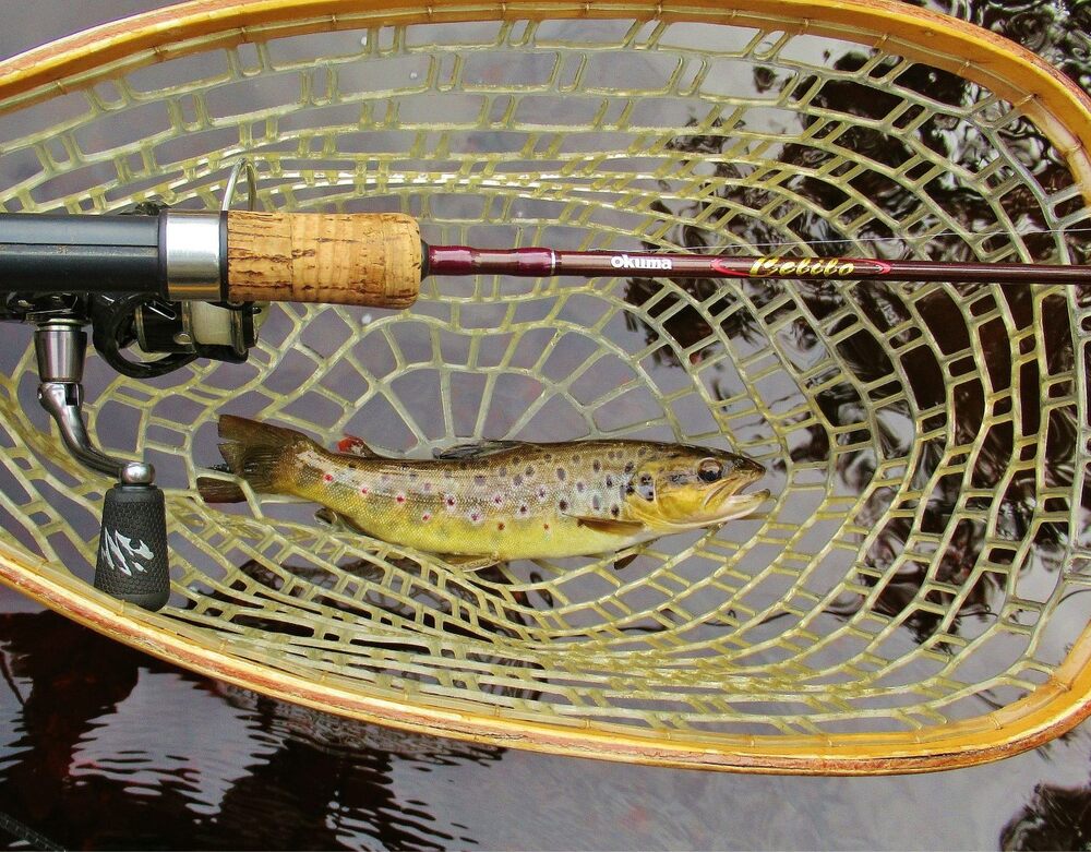 Wild Water Surf Rod and Reel Combo – Rainbow Net & Rigging