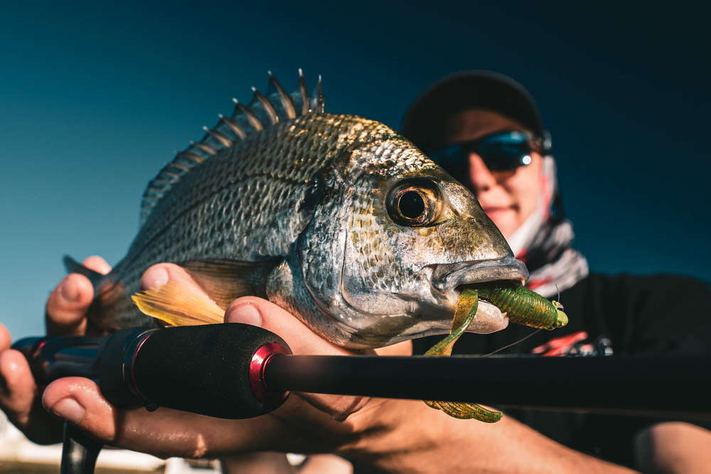 Gearing Up for Bream on Plastics – Tackle Tactics