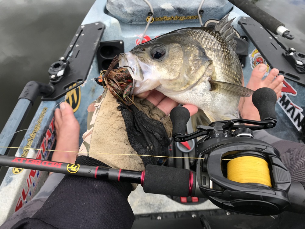2018 TACKLE & GEAR - Ray's choice of spinning rods 
