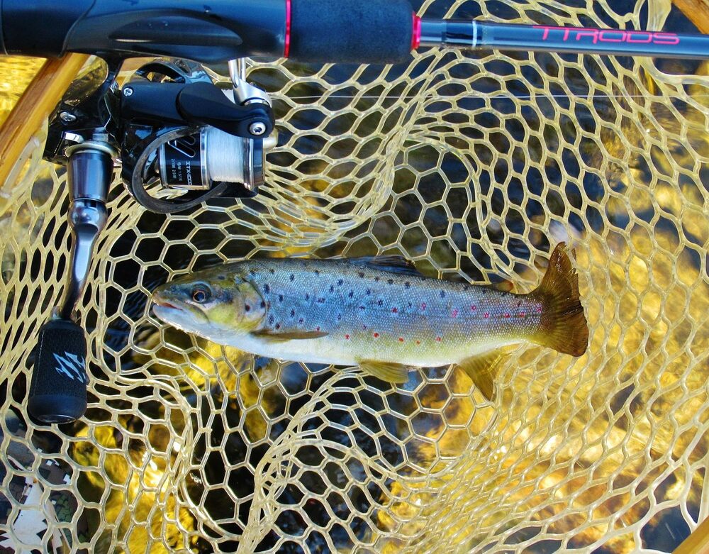 Chasing Meander River Trout – Tackle Tactics
