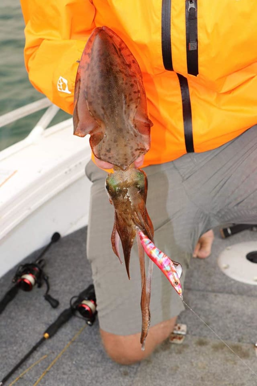 Fishing squid with jig on board - Fishing techniques - FishingTheSpot