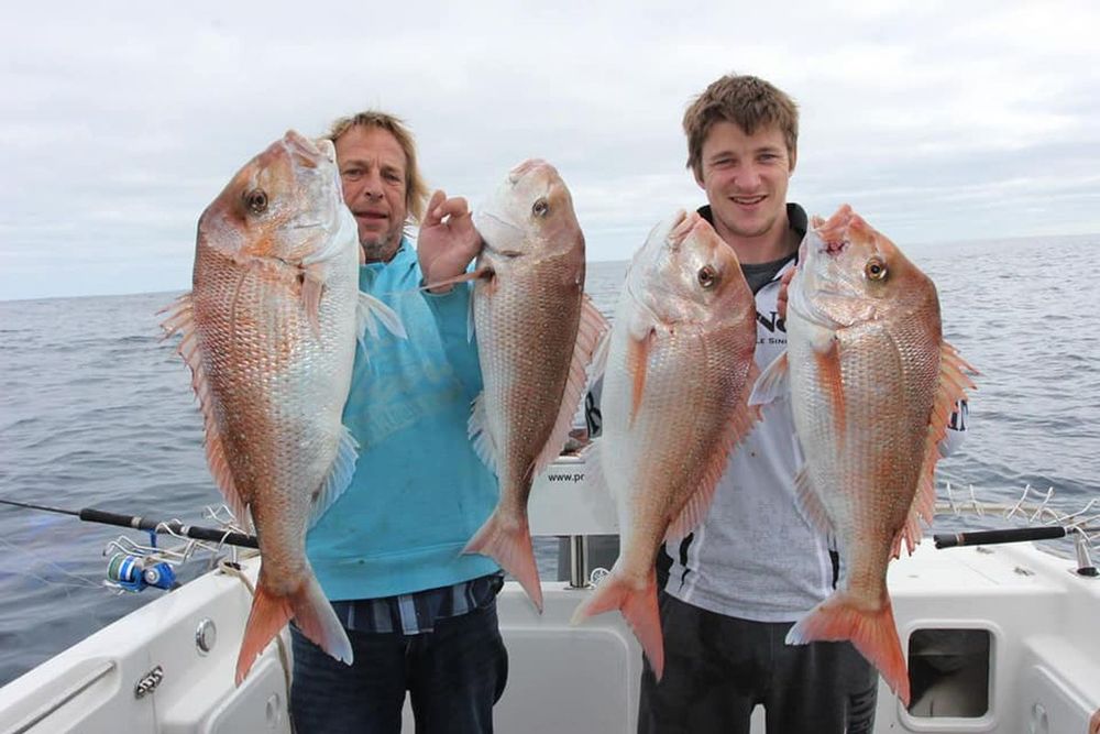 Southern Snapper on Bait – Tackle Tactics