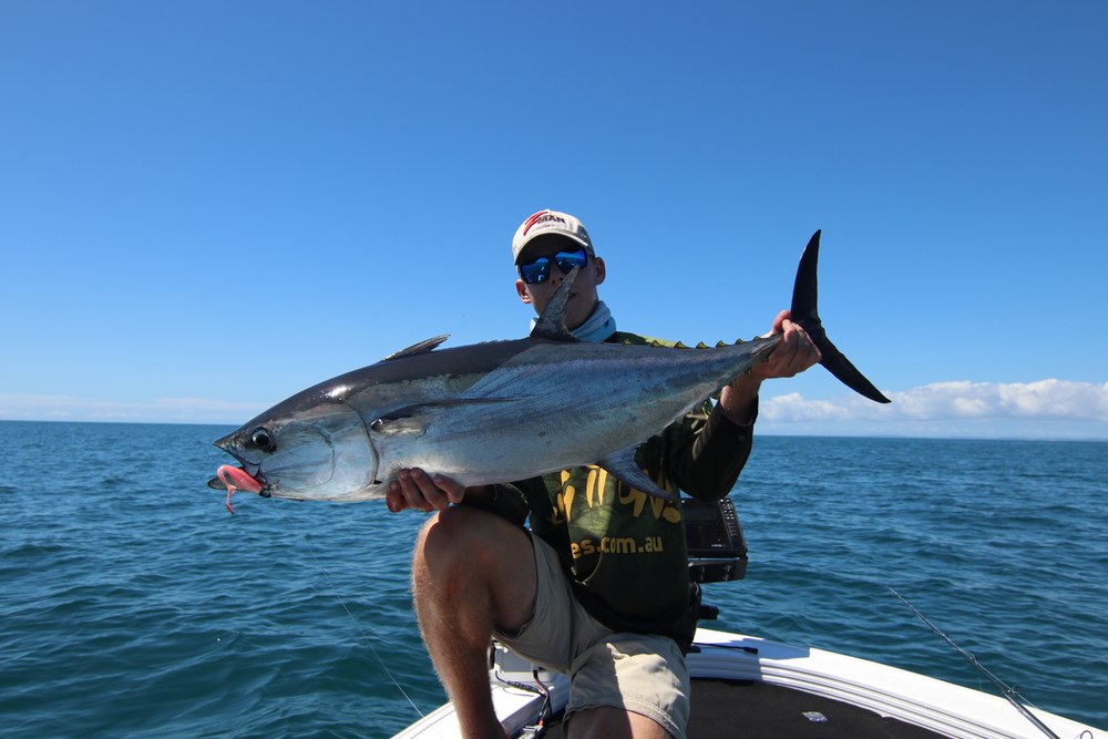 Yellowfin Tuna Tactics