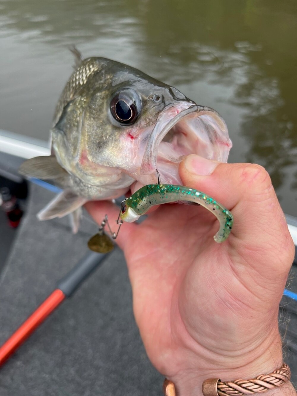 Jig Spin for the Win! – Tackle Tactics
