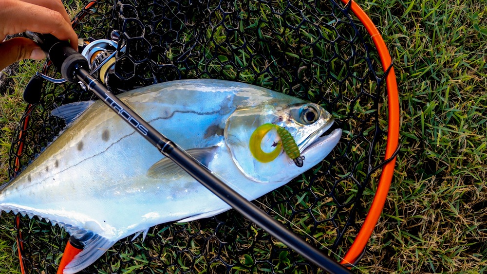 5 Tips for Fishing Canals – Tackle Tactics