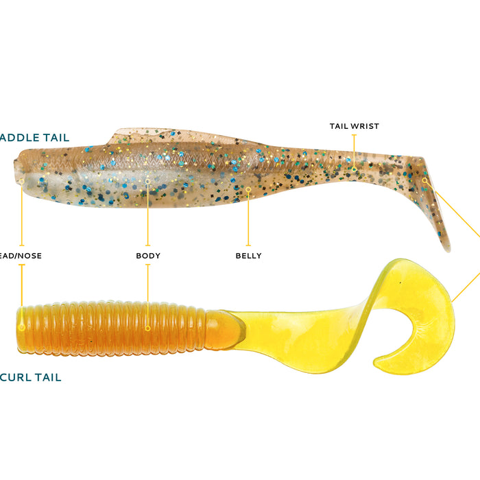 3. Soft Plastic Anatomy