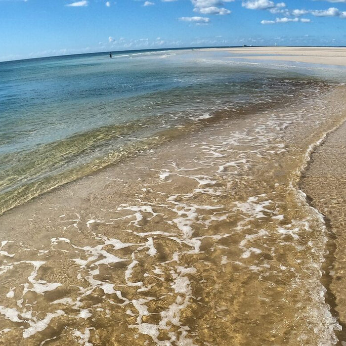 Fraser Island - Sensational on Soft Plastics