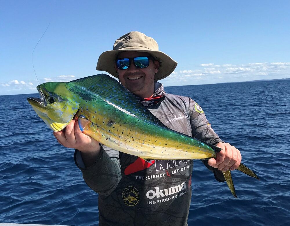 Dolphinfish Fun!