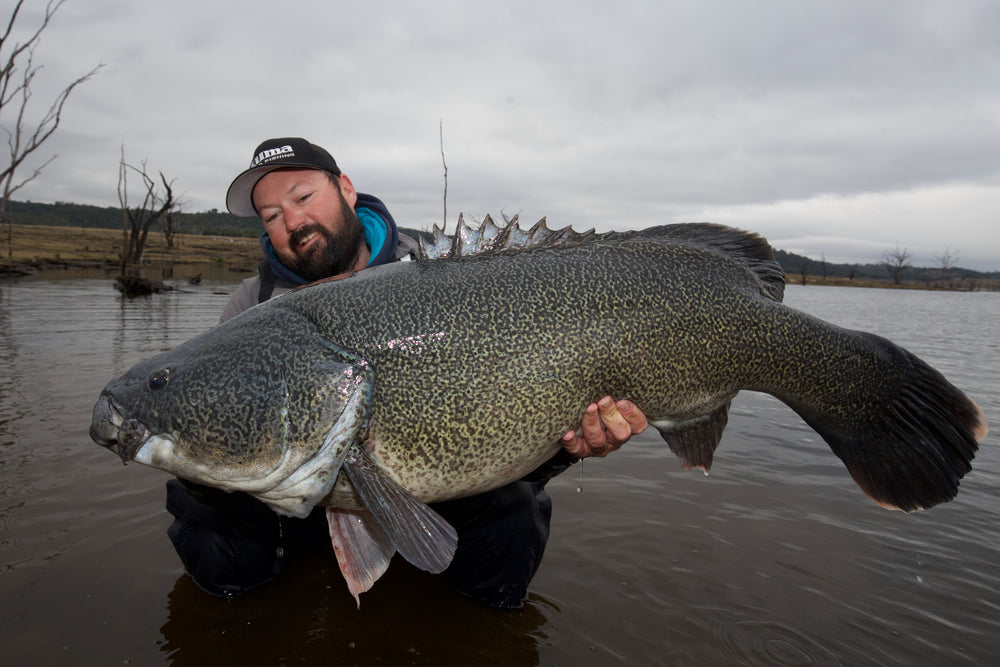 Winter Fishing Tactics for Murray Cod