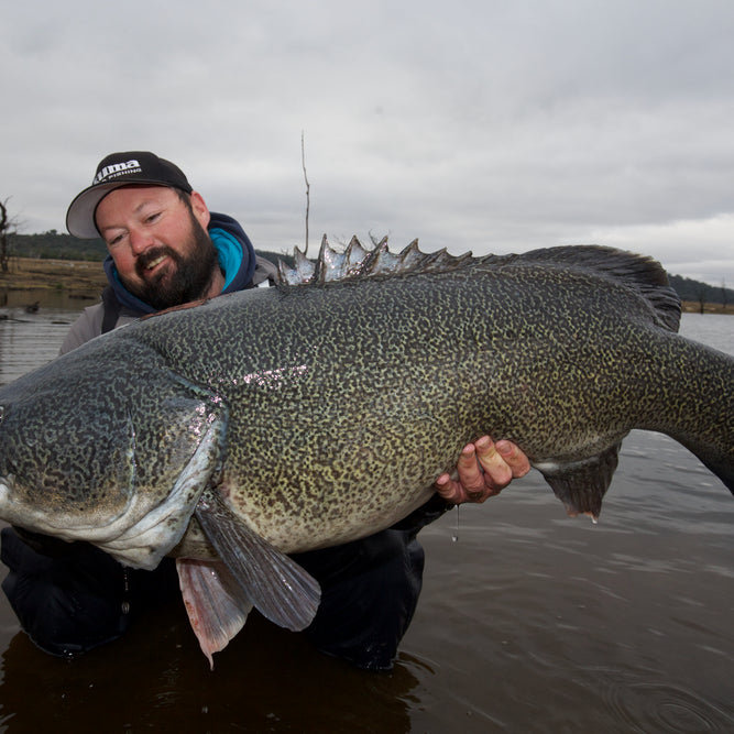 Winter Fishing Tactics for Murray Cod