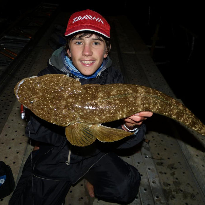 Nocturnal Flathead