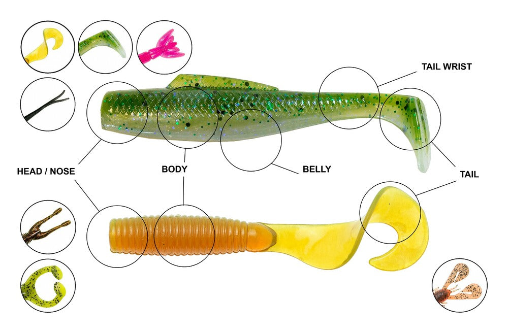 3. Soft Plastic Anatomy