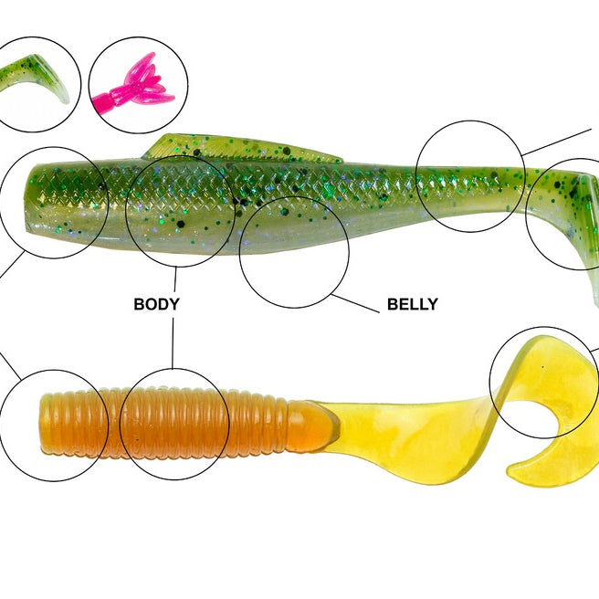 3. Soft Plastic Anatomy