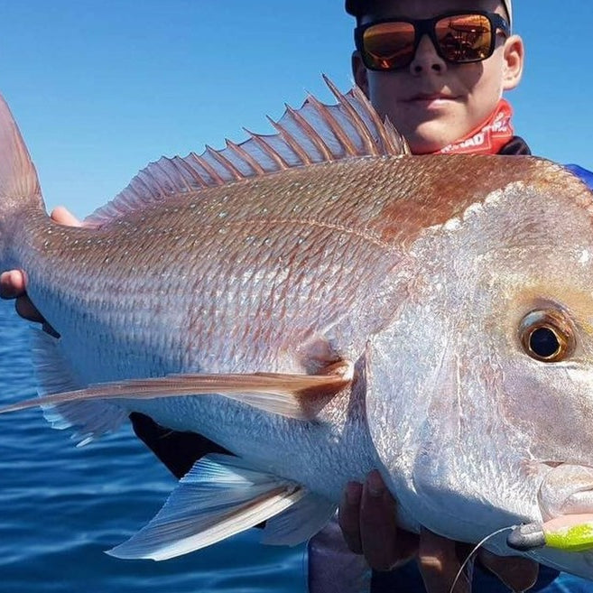 Hervey Bay Snapper