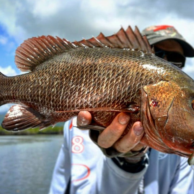 25. Mangrove Jack Plastics Kit