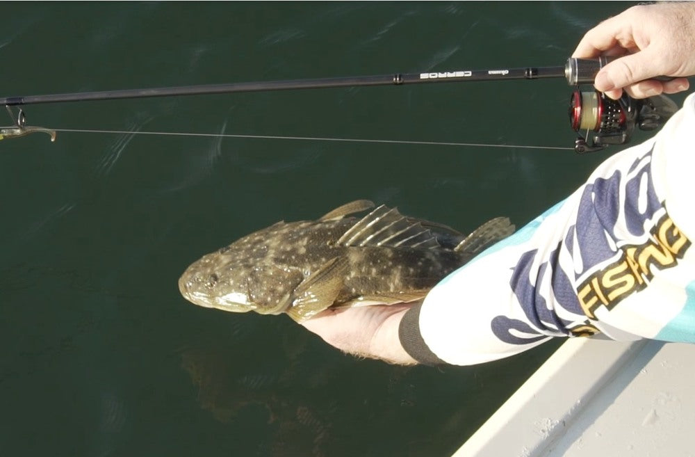 32. Low Tide Flathead