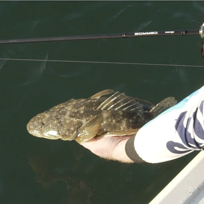 32. Low Tide Flathead