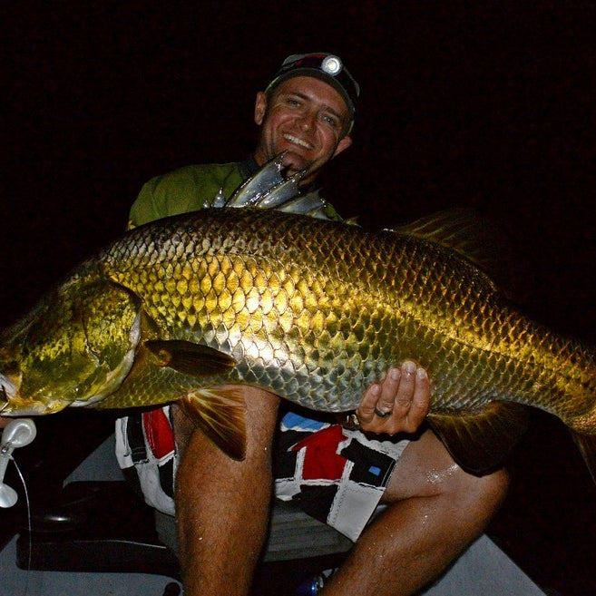 Barramundi After Dark