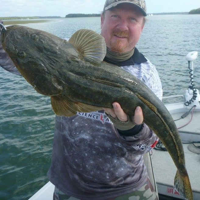 How to Catch Flathead on Lures