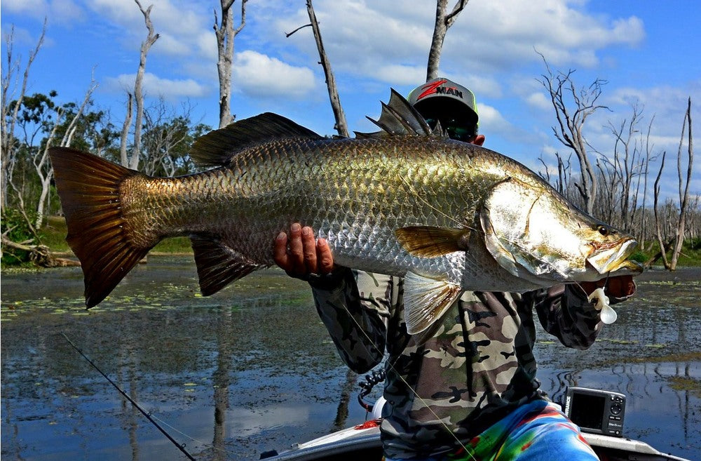 How to Catch Impoundment Barramundi on Lures