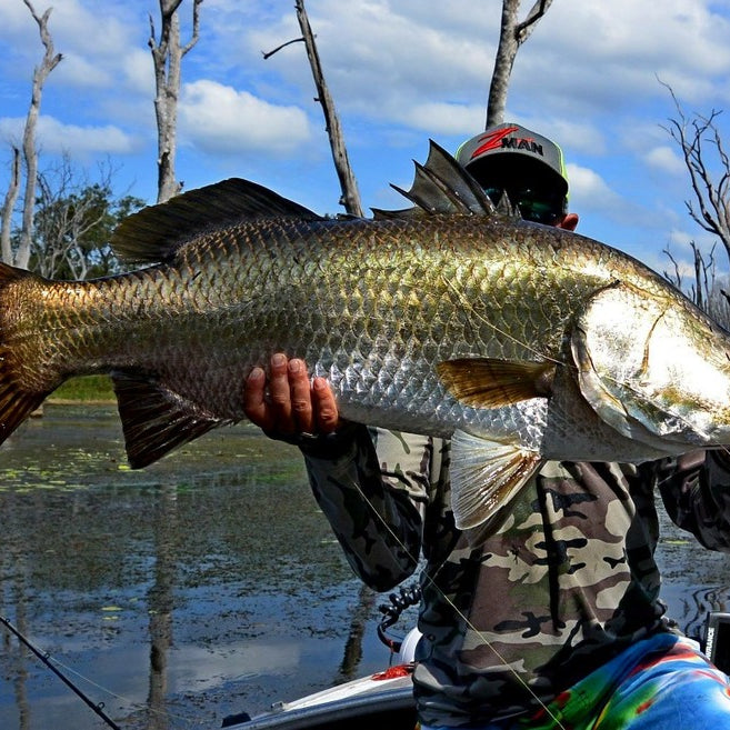 How to Catch Impoundment Barramundi on Lures