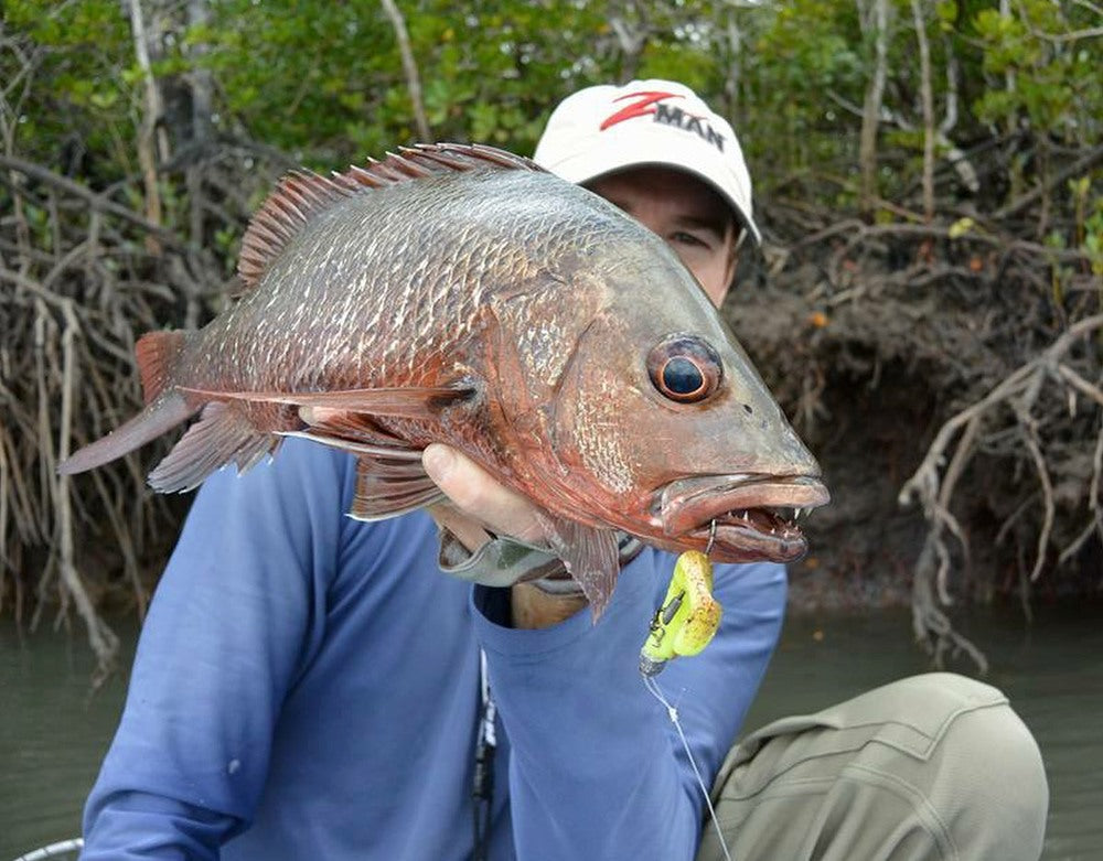 10 Tips - Weedless Rigging