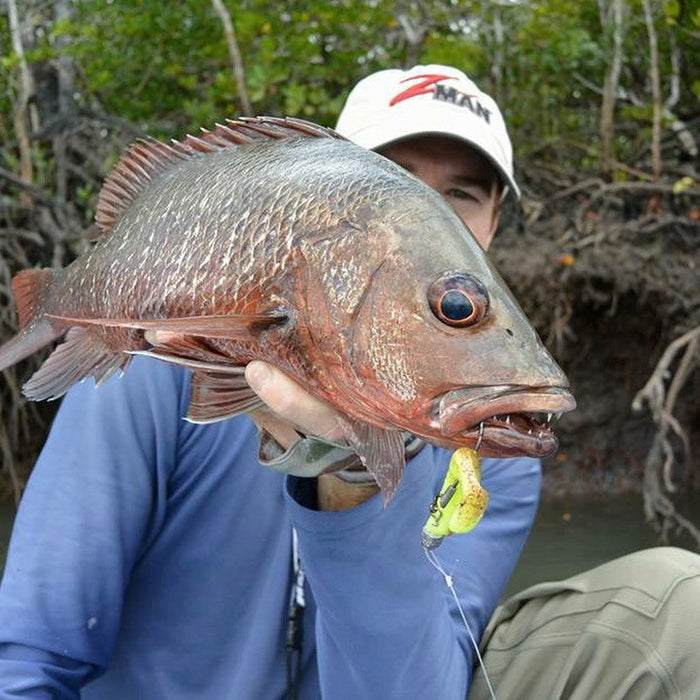 10 Tips - Weedless Rigging