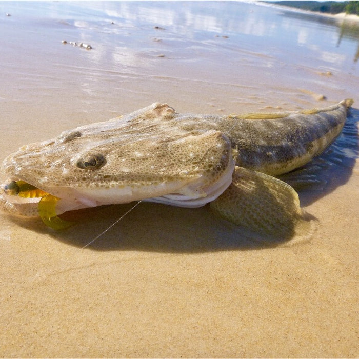 Moreton Island - Overlooked Opportunities