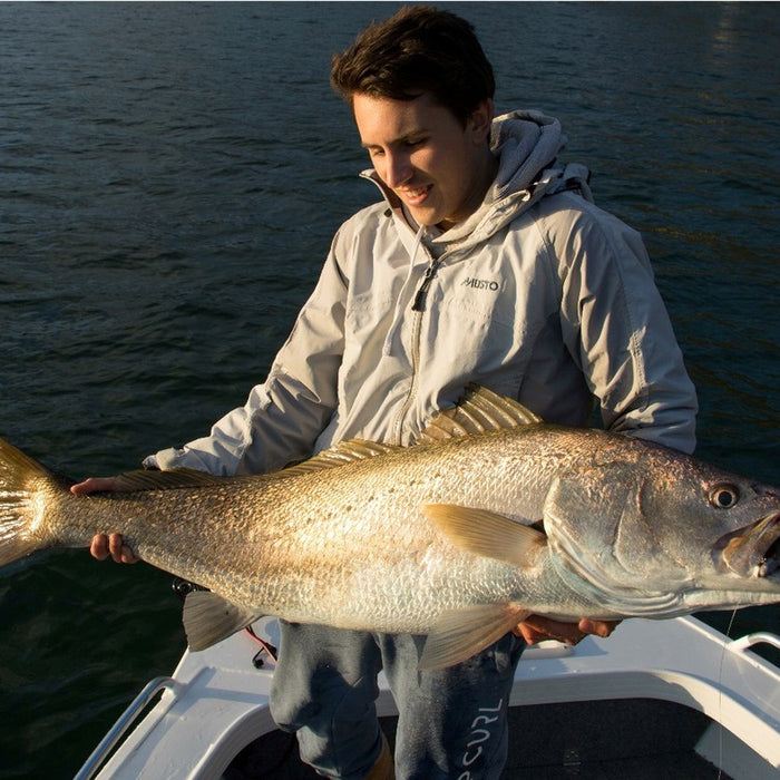 Pick Your Paddle Tail - Mulloway