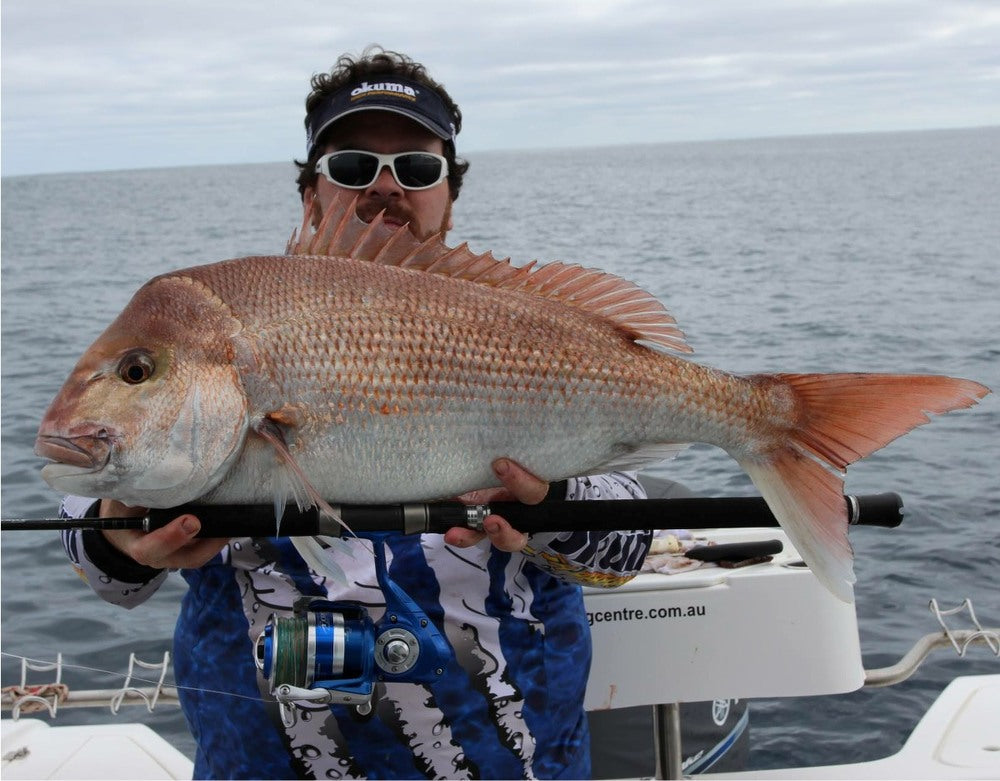 Southern Snapper on Bait