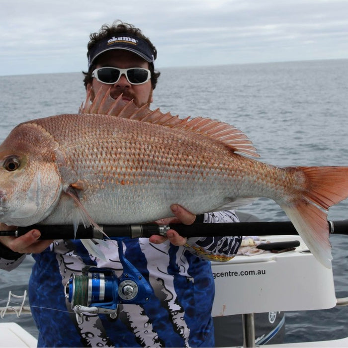 Southern Snapper on Bait