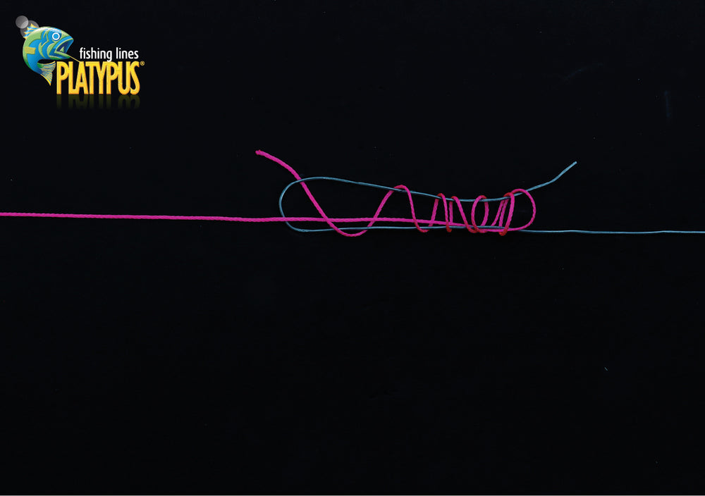 Wire to Mono Knot