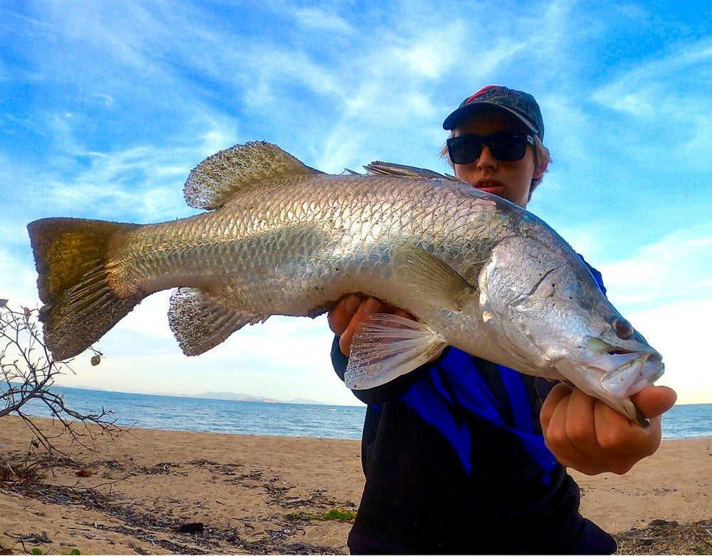 Barramundi off the Beach