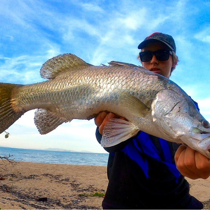 Barramundi off the Beach