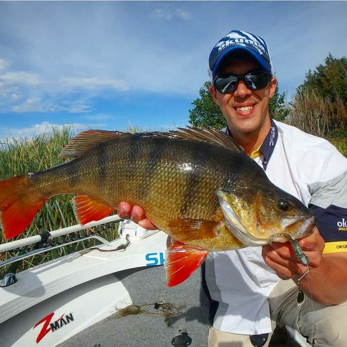 Redfin Perch Fishing