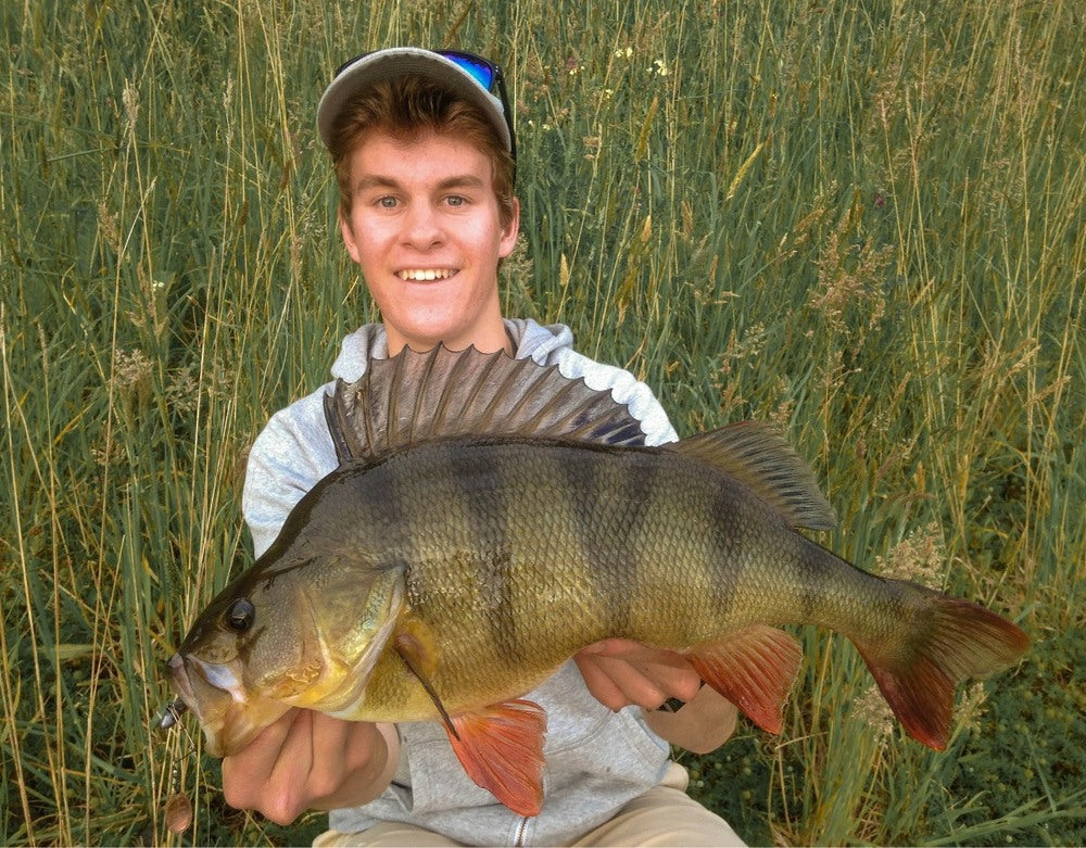 Jig Spinner - Focus on Redfin Perch